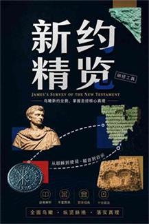 新约精览