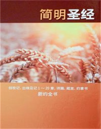 简明圣经封面